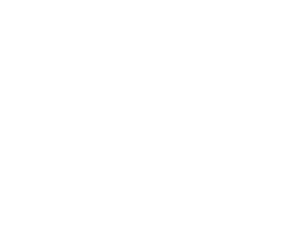 DS NETTSERVICES